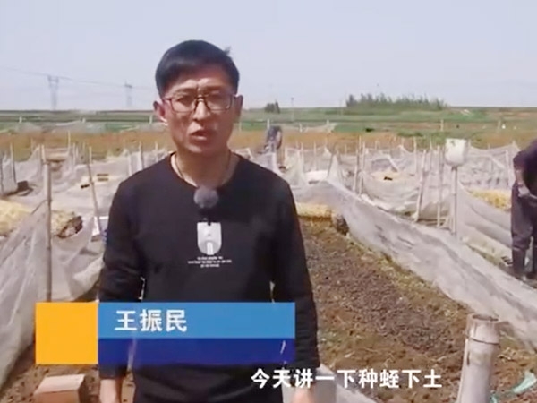 种蛭下土注重事项