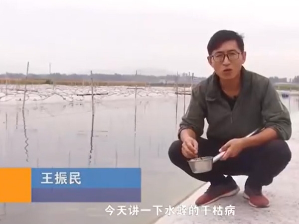 CMD368体育干枯病爆发涯纪律及防治要领