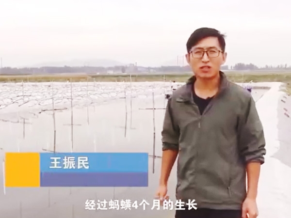 CMD368体育收获流程