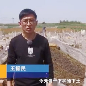 种蛭下土注重事项